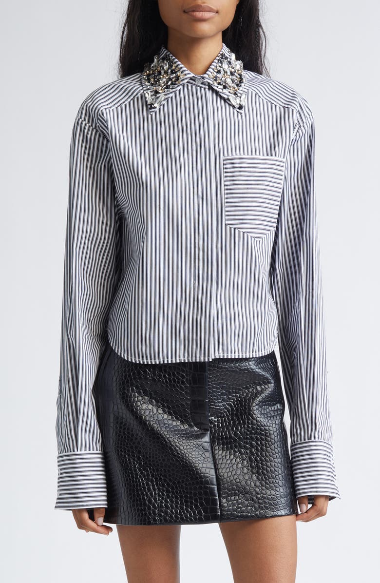 SPORTMAX Quagga Stripe Embellished Collar Cotton Button-Up Shirt, Main, color, Black