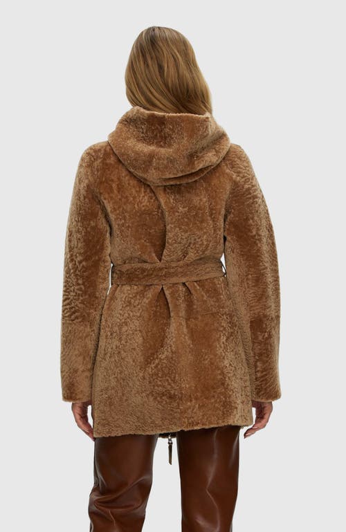 Gorski Reversible Textured Shearling Lamb Parka In Brown