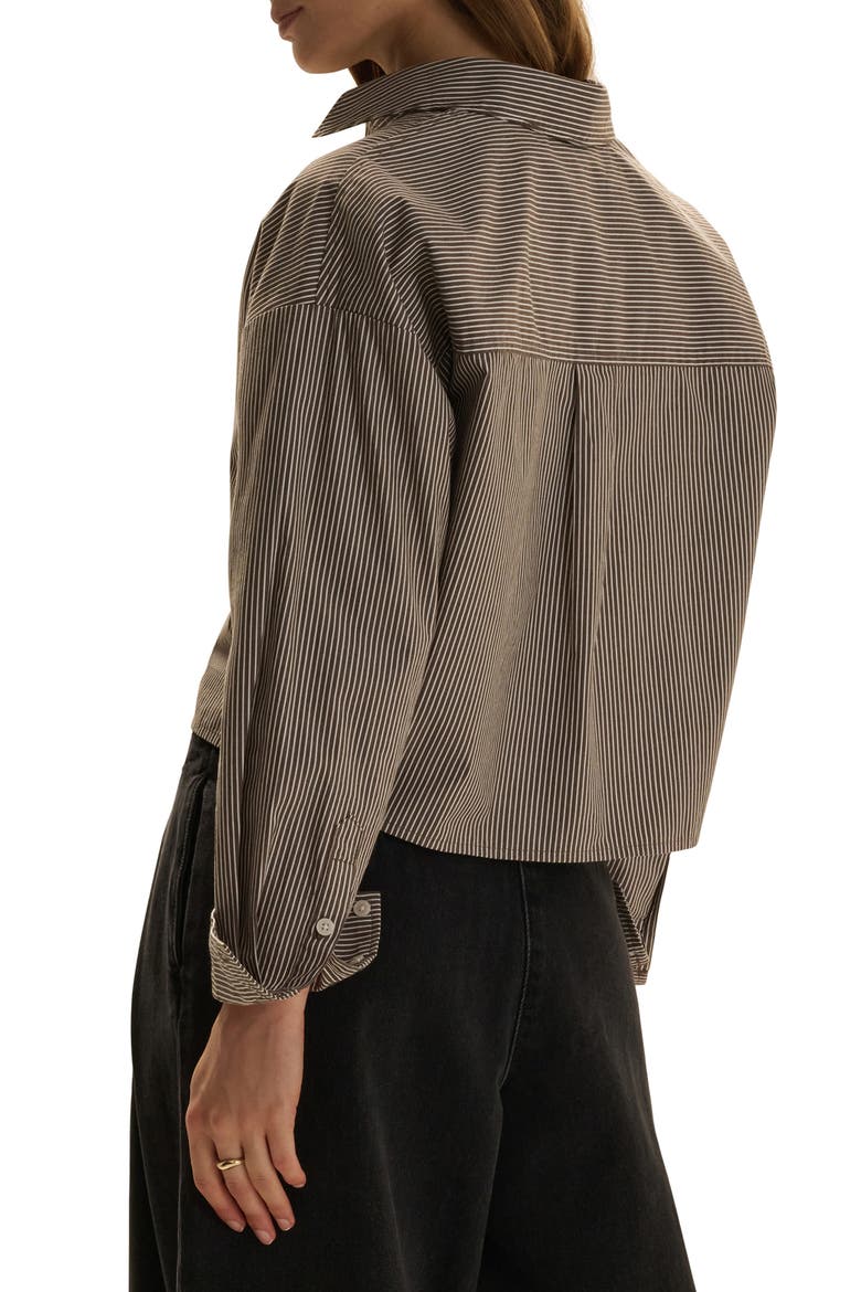 The Next Chapter Striped Cropped Shirt, Alternate, color, ESPRESSO/ WHITE STR