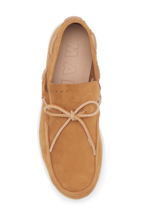 Shop Marni Boat Shoe In Coffee