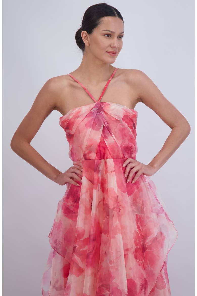 Floral A-Line Chiffon Gown, Alternate, color, POPPY