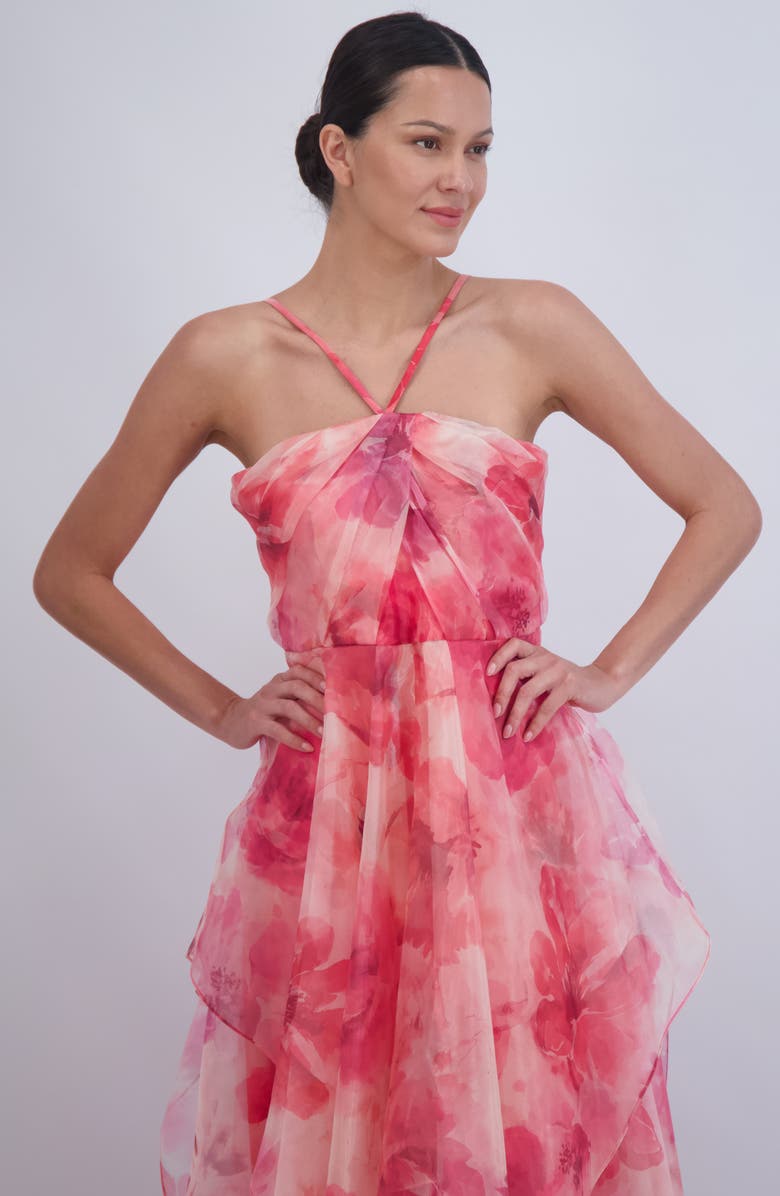 Eliza J Floral A-Line Chiffon Gown, Alternate, color, Poppy