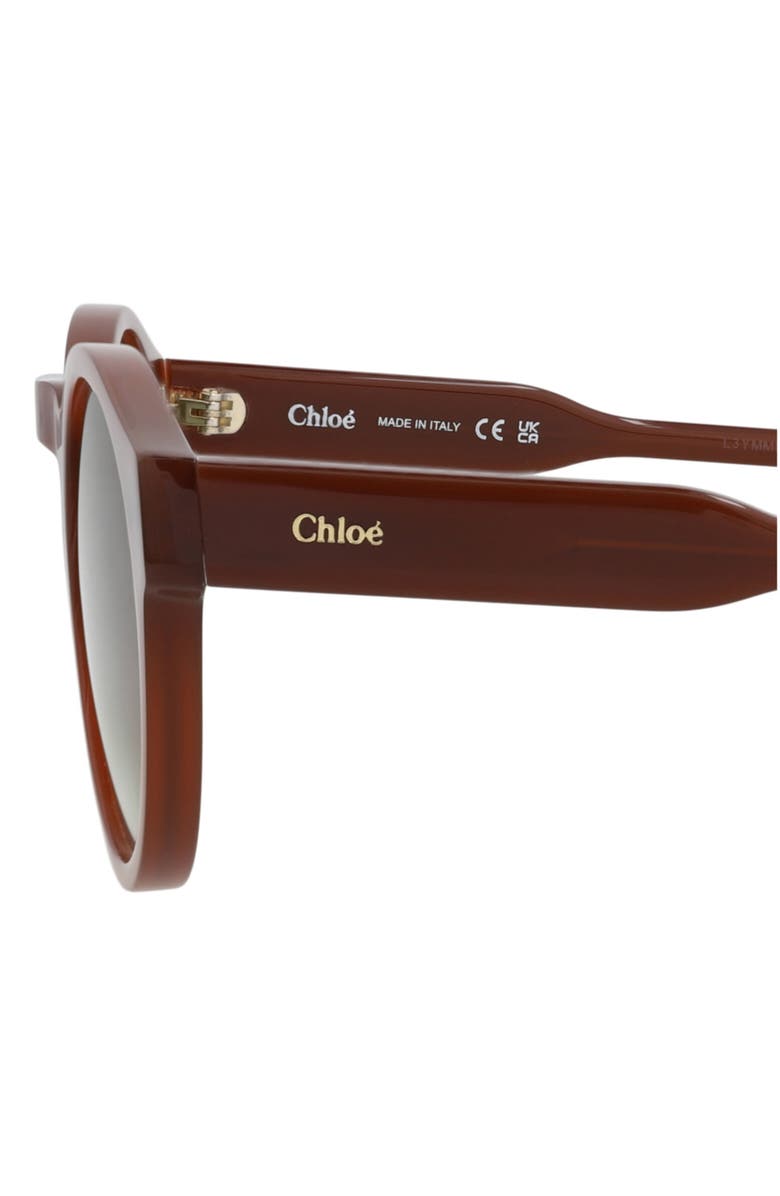 Chloé 52mm Round Sunglasses, Alternate, color, Brown Brown Green
