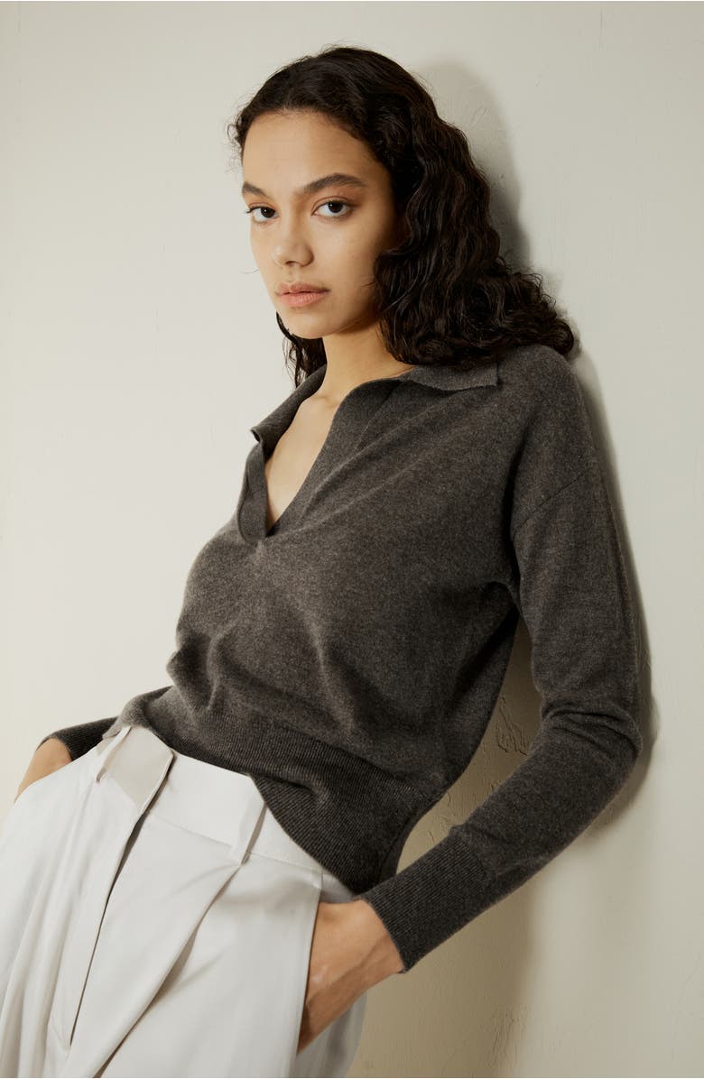 Lilysilk Women's V Neck Cashmere Polo Sweater, Alternate, color, Brown