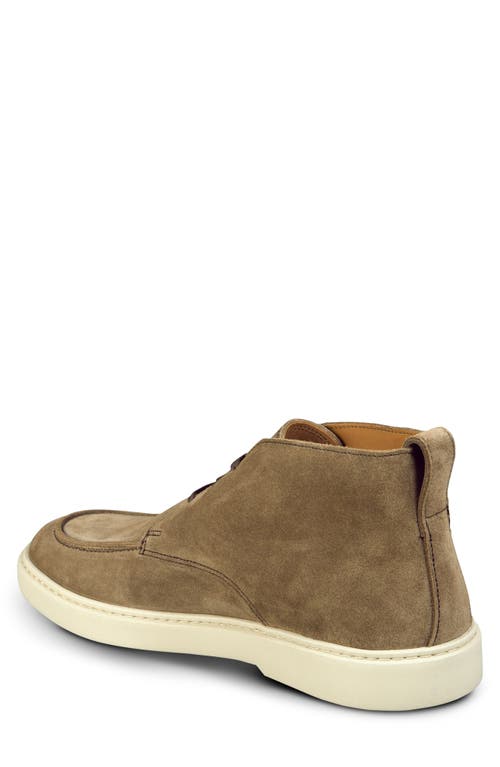 Allen Edmonds Harris Chukka Boot In Brown