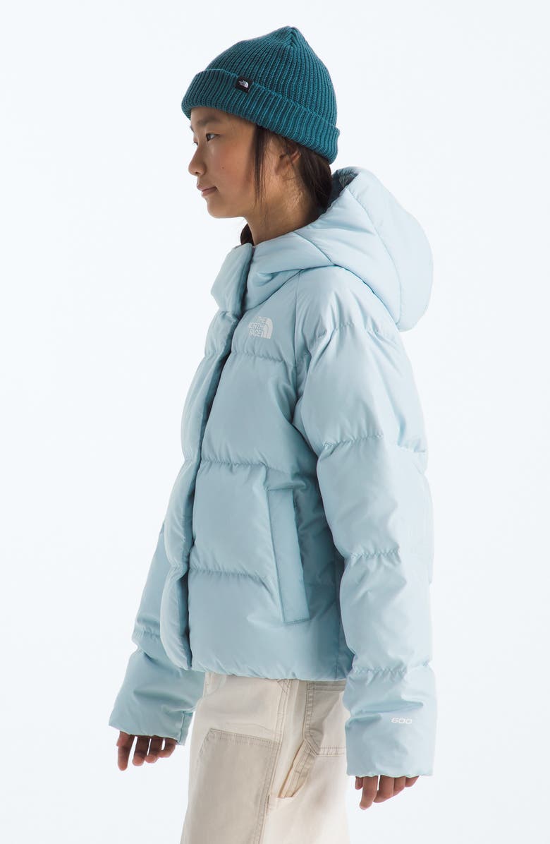 The North Face Kids' North 600-Fill-Power Down Hooded Jacket, Alternate, color, Polar Haze