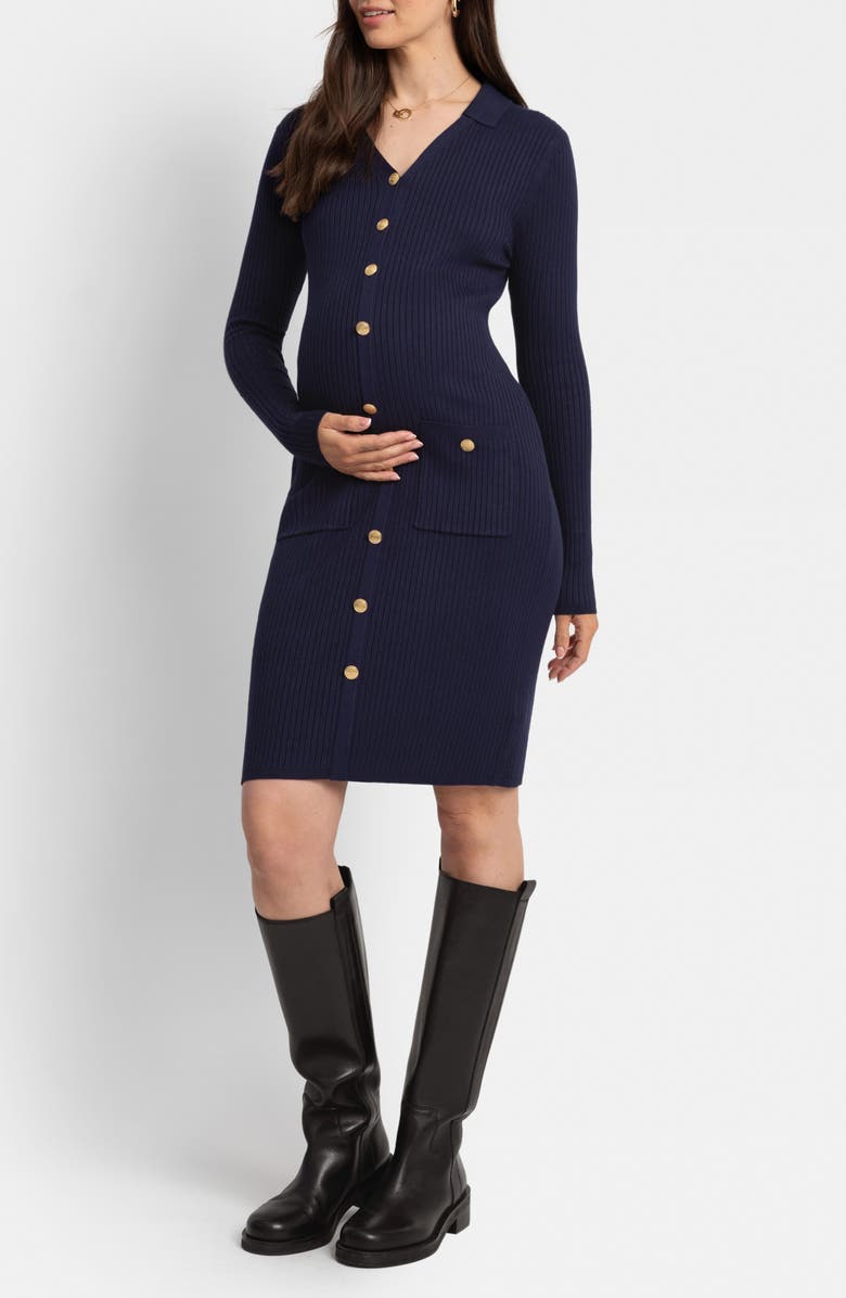 Seraphine Long Sleeve Maternity/Nursing Button-Up Sweater Dress, Main, color, 