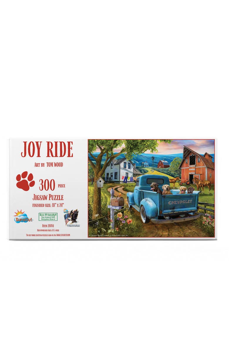 Sunsout Joy Ride 300 piece Jigsaw Puzzle for Adults, Alternate, color, Multicolor