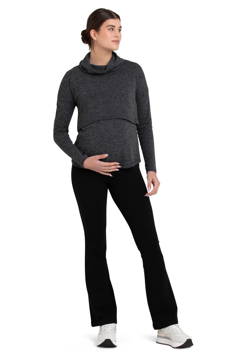 Ripe Maternity Cameron Turtleneck Long Sleeve Maternity/Nursing Top, Alternate, color, 