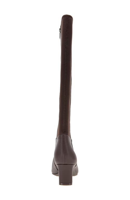 Reaction Kenneth Cole Berry Knee High Boot In Brown