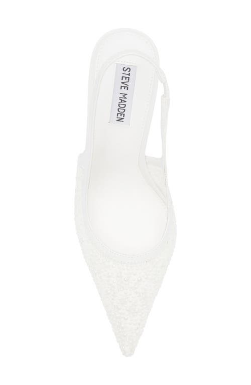 STEVE MADDEN STEVE MADDEN REYES POINTED TOE SLINGBACK PUMP