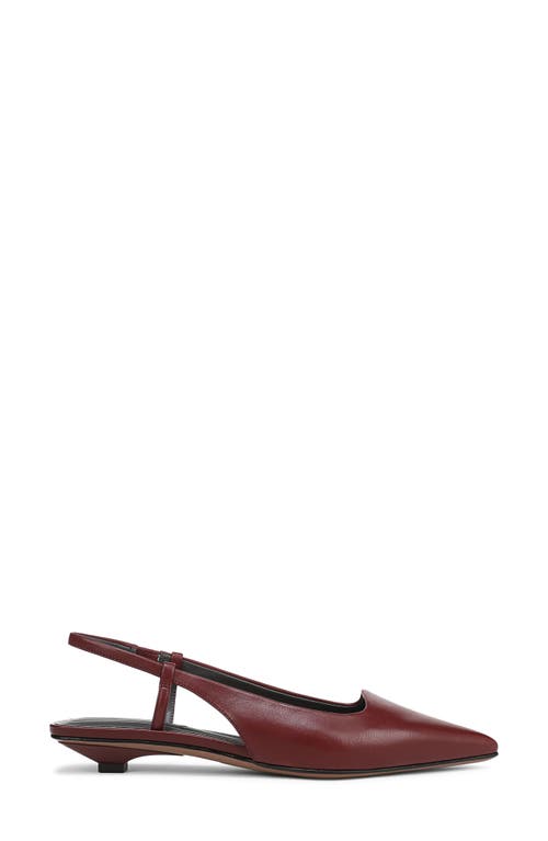 Franco Sarto Palmira Slingback Pointed Toe Pump In Burgundy
