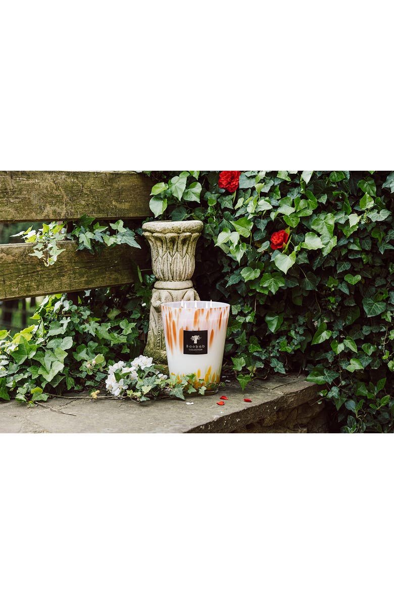 Baobab Collection Eden Garden Glass Candle, Alternate, color, Green