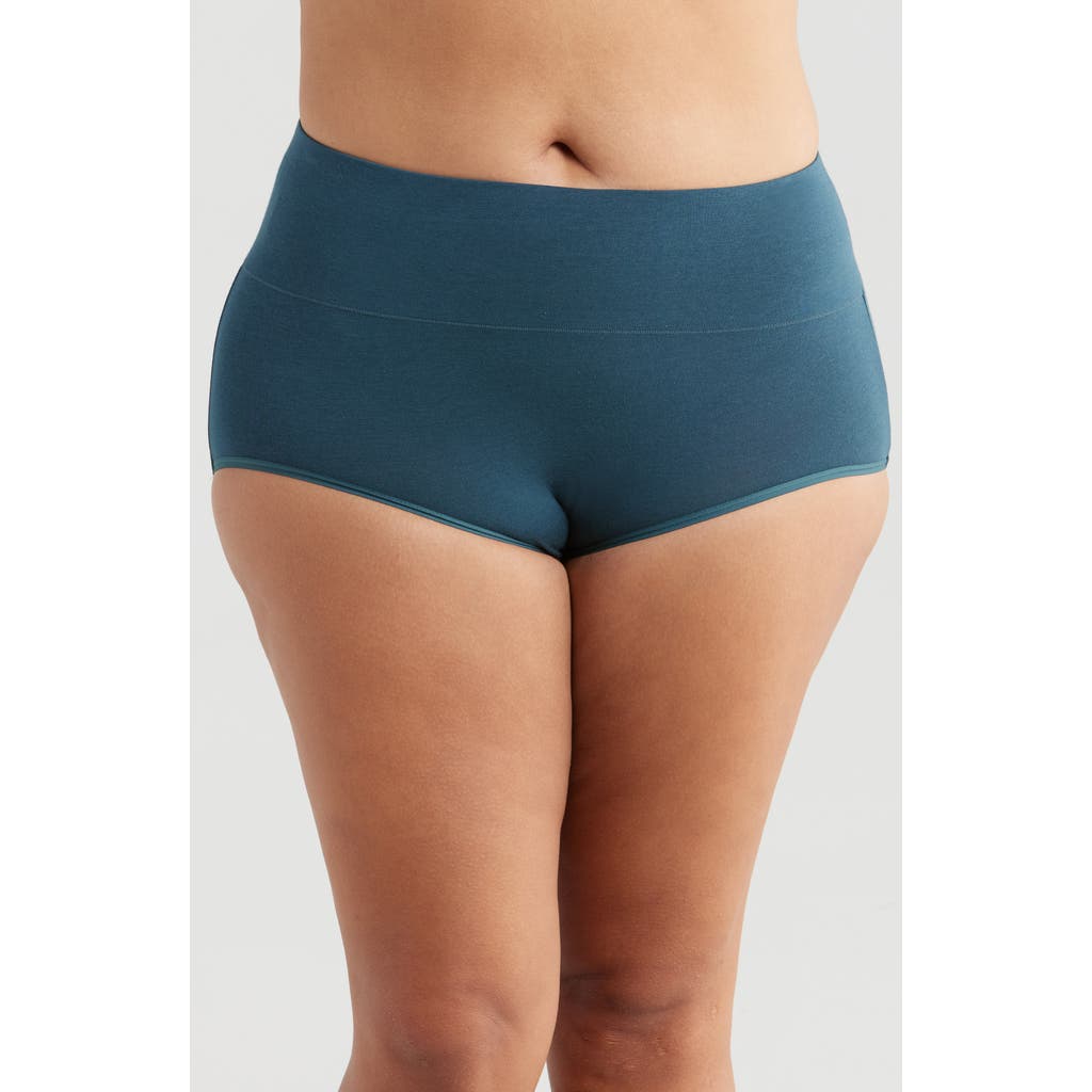 Universal Standard Ultimates High Rise Briefs In Blue