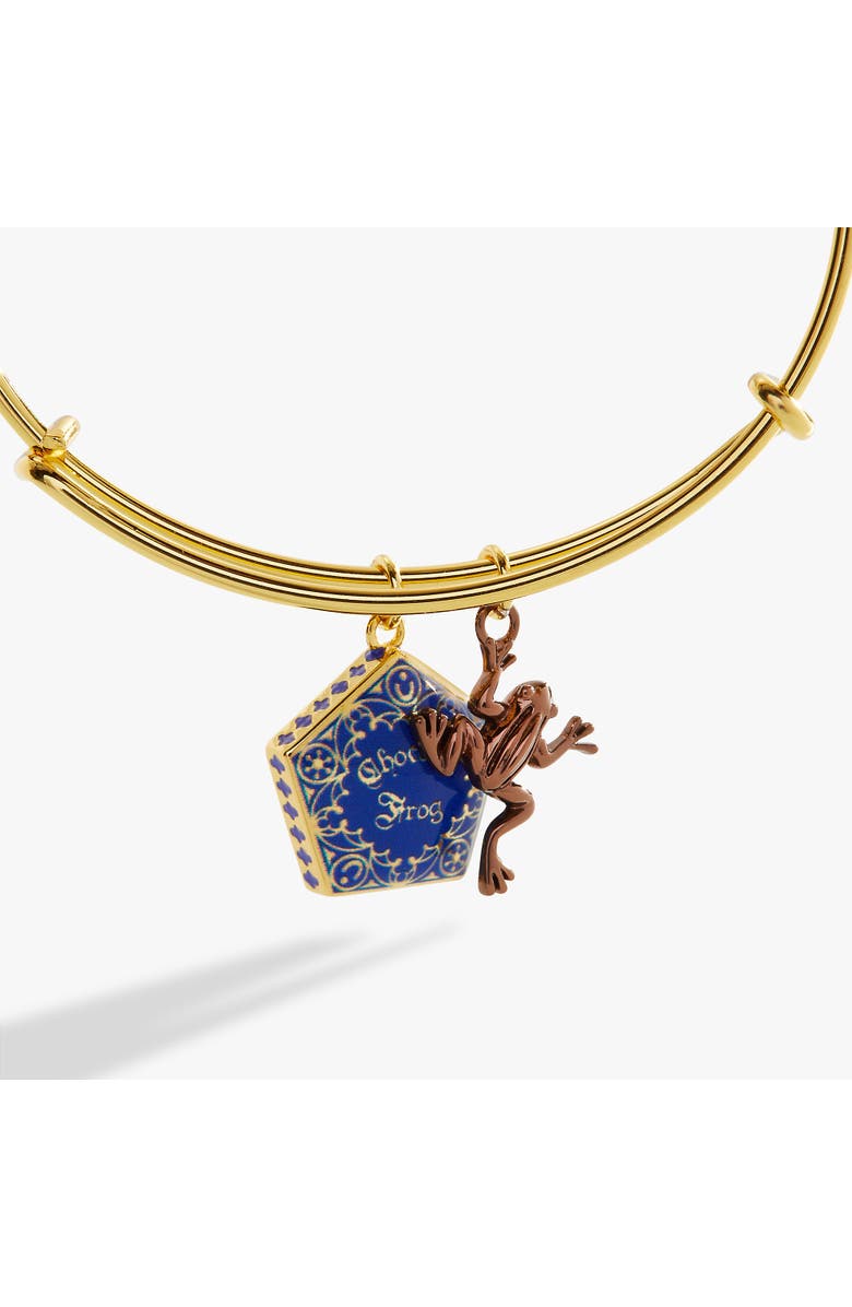 Alex and Ani Harry Potter Chocolate Frog Two-Charm Bangle Bracelet, Alternate, color, Blue