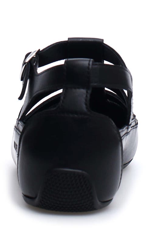 Candice Cooper Rock T-bar Fisherman Sandal In Black