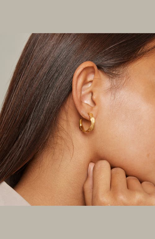 Enamel Copenhagen Ane Small Hoops In Gold