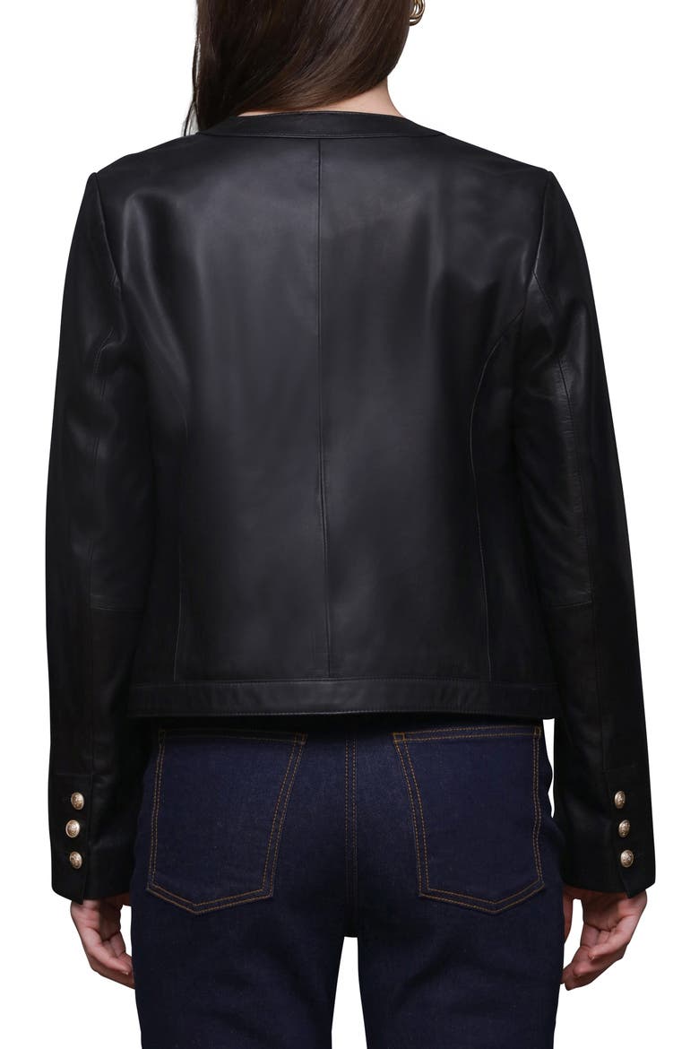 Genuine Leather Collarless Lady Jacket, Alternate, color, BLACK