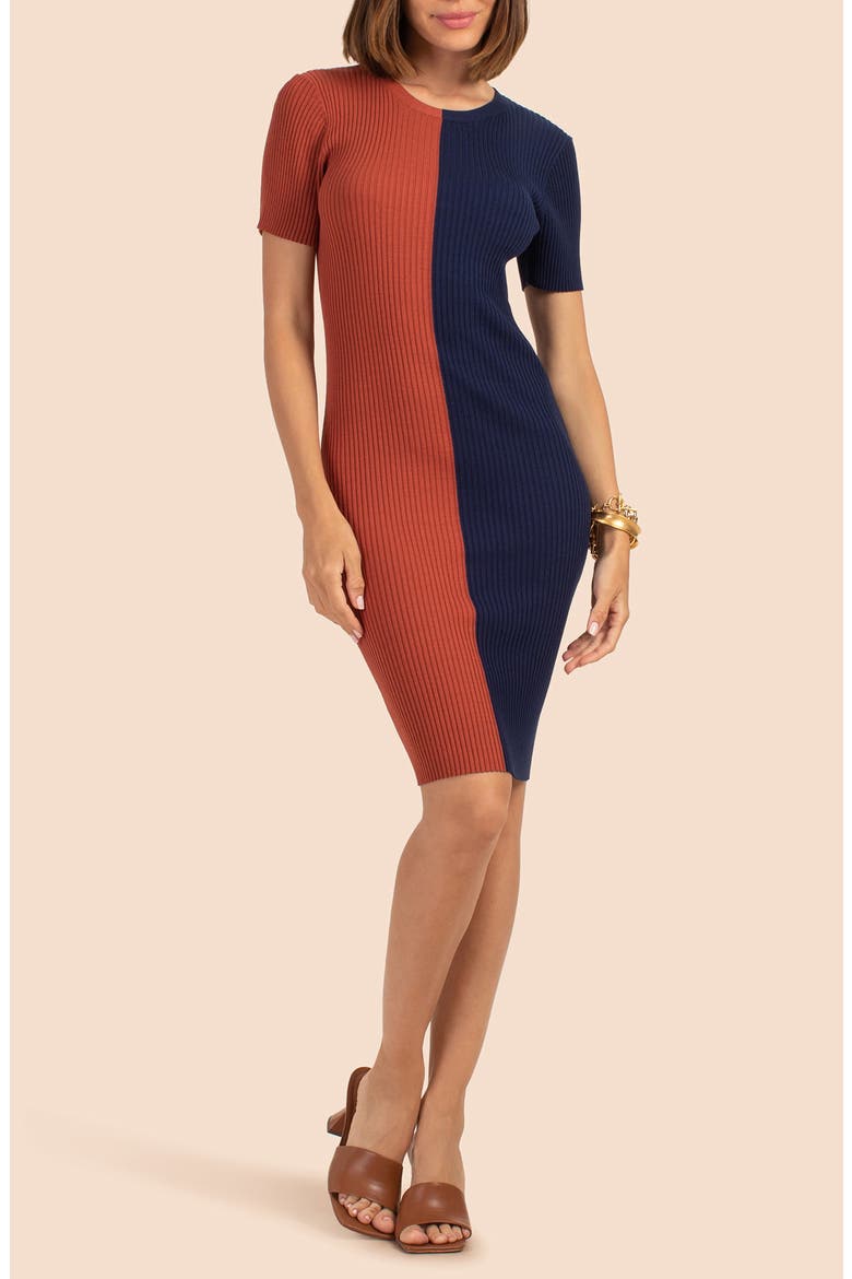 Vivika Colorblock Minidress, Main, color, CINNAMON/ INDIGO