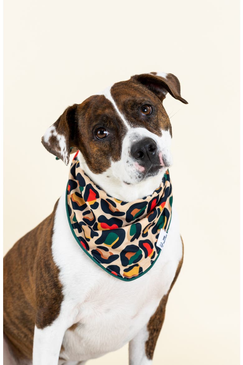 Beckett Pet Bandana, Alternate, color, Beckett