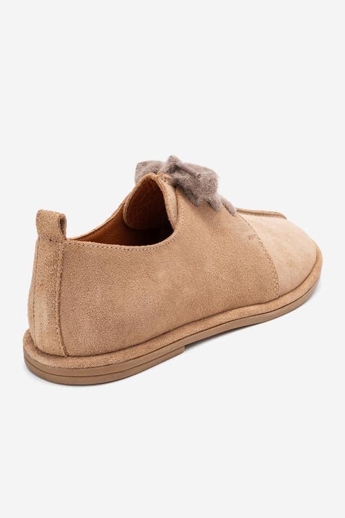 Forever & Always Shoes Denora Leather Lace Up Shoes In Brown