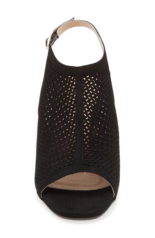 Cordani Illia Ankle Strap Sandal In Black
