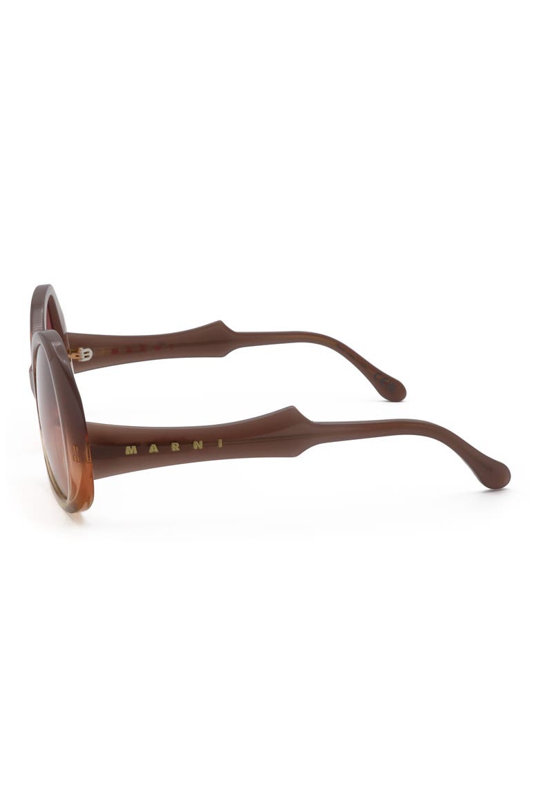 55mm Square Sunglasses, Alternate, color, BROWN / BROWN