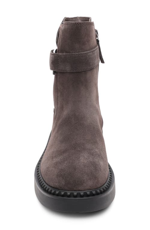 Ash Margot Moto Bootie In Brown