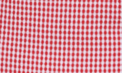 By.dyln Magen Gingham Strapless Minidress In Red