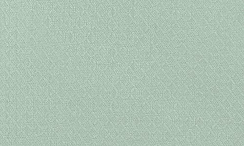 Osprey Daylite Plus Backpack In Frosty Mint