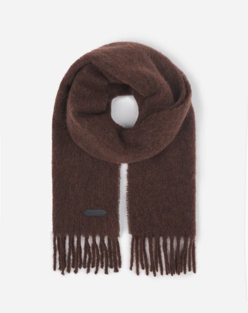 Lanvin Fringed Scarf In Wool In Dark Brown