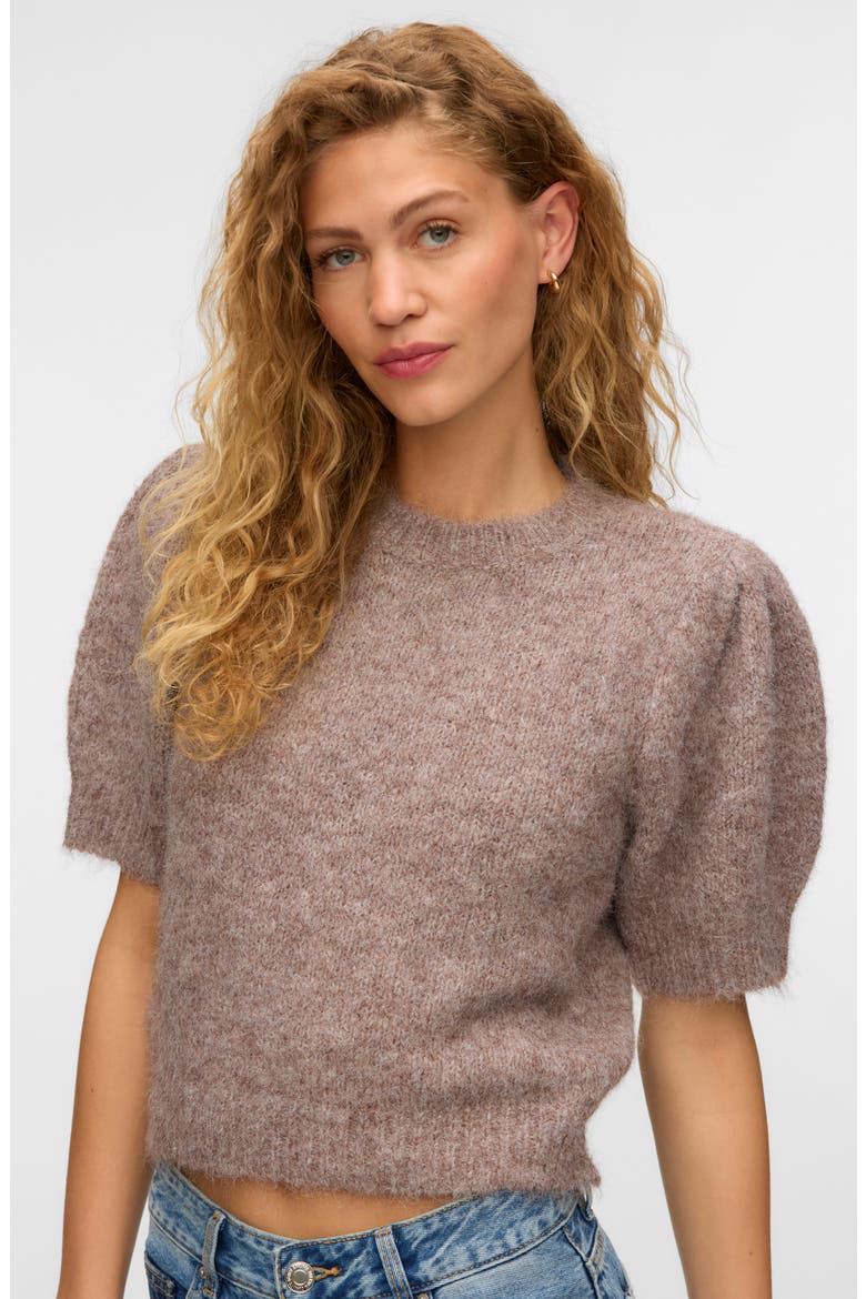 Novah Short Sleeve Sweater, Alternate, color, BROWN LENTIL DETAIL MELANGE