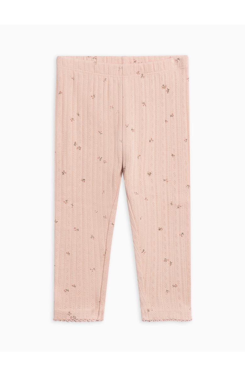 Kendi Gina Pointelle Leggings, Main, color, Haran Floral