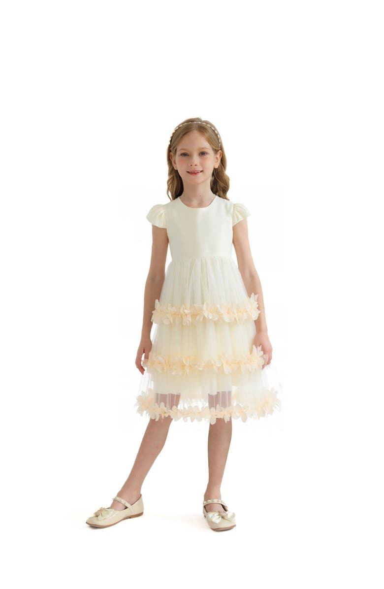 Tulleen Ferara Dress, Alternate, color, Cream