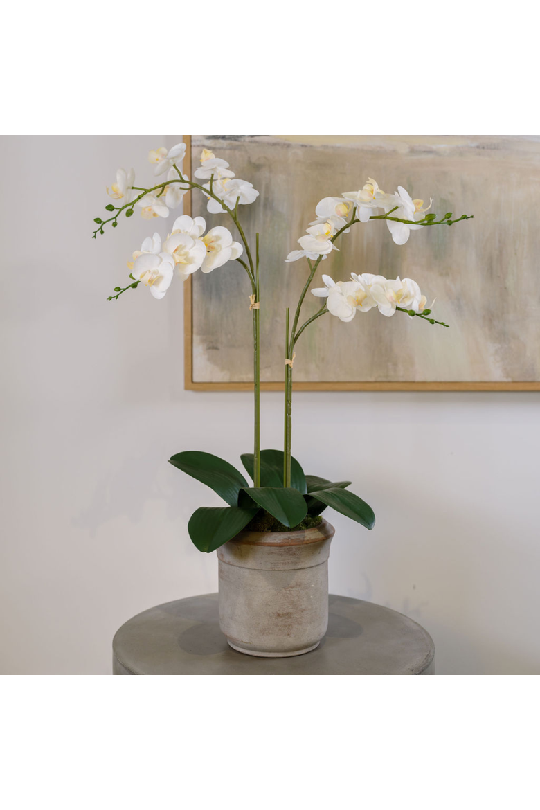 Artificial 2-Stem Phalaenopsis White Orchid, Alternate, color, White