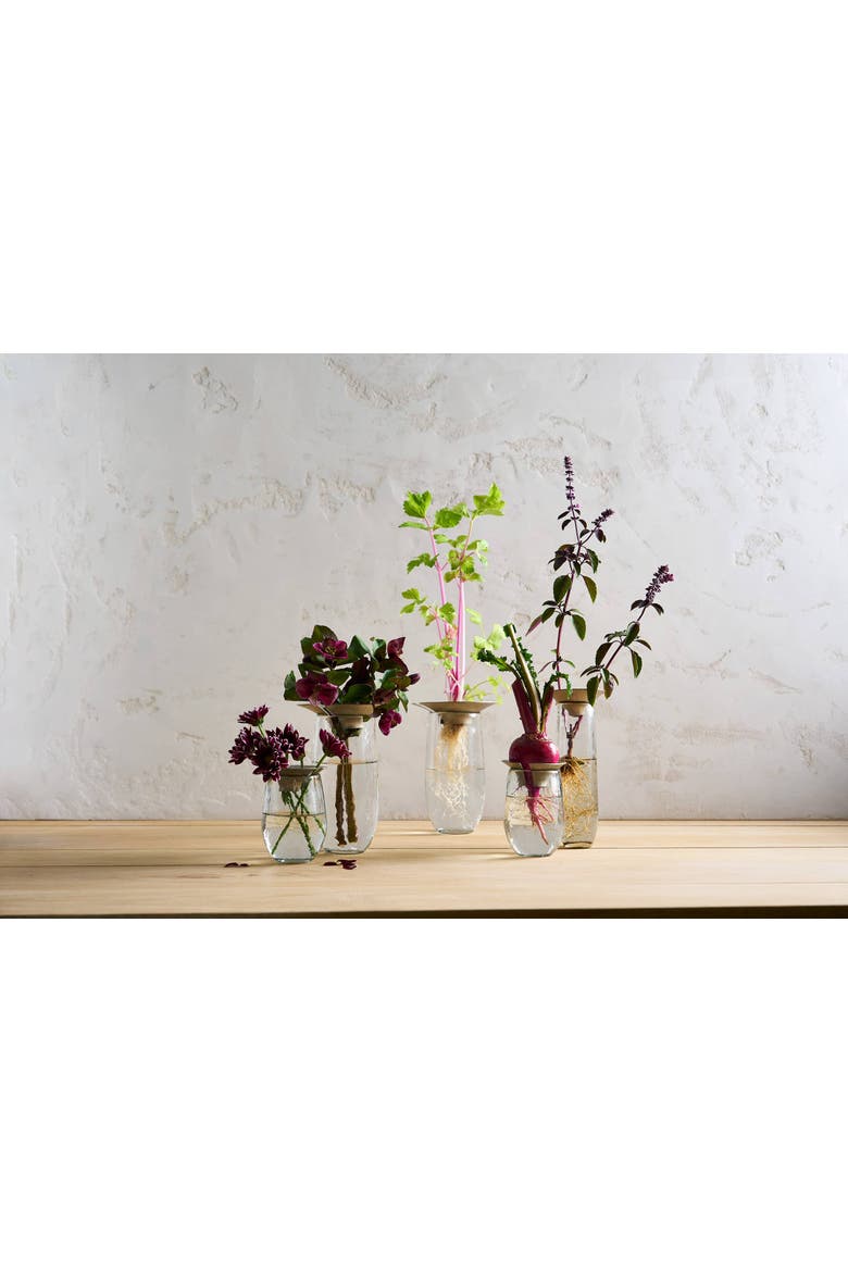 Floral Propogate Assorted - Set of 3, Alternate, color, Nickel