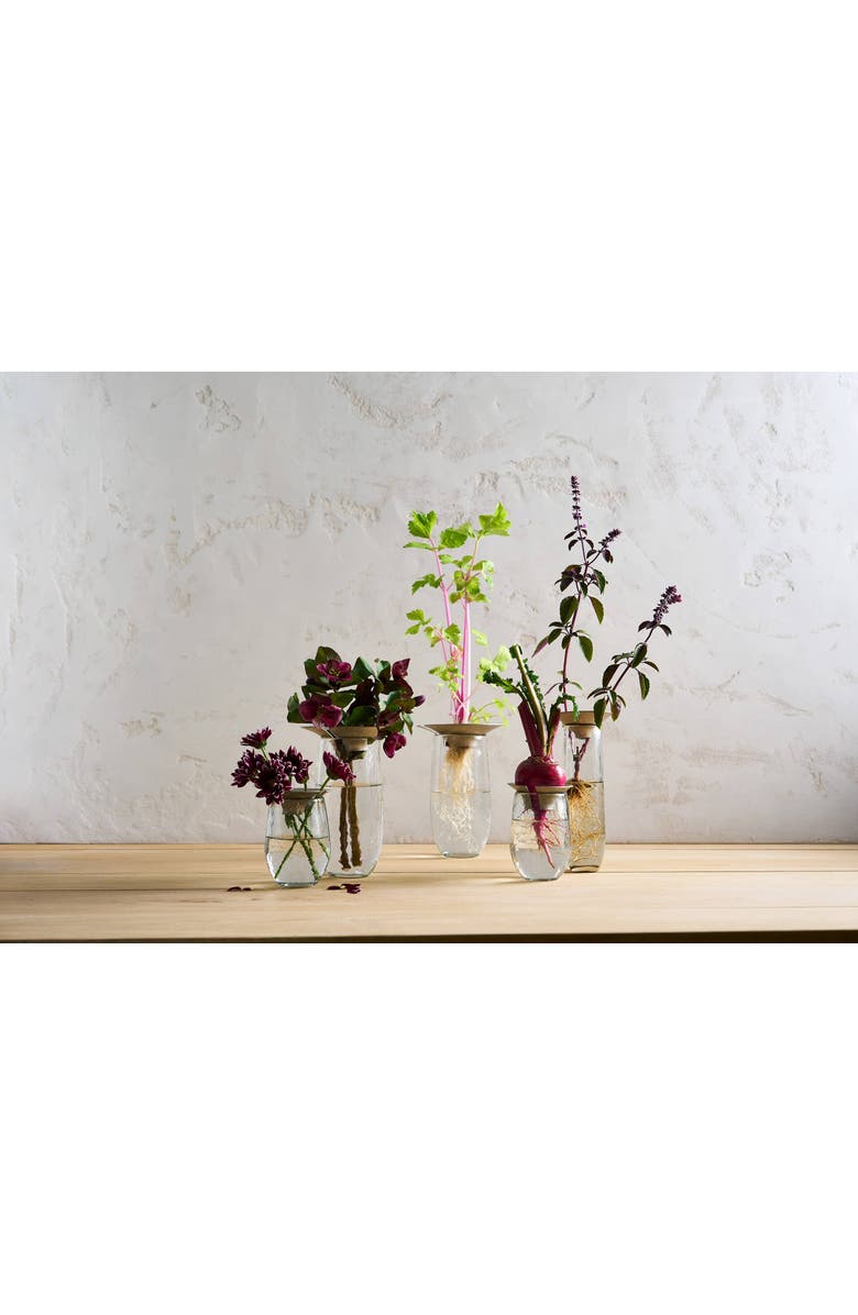 The Collective Floral Propogate Assorted - Set of 3, Alternate, color, Nickel