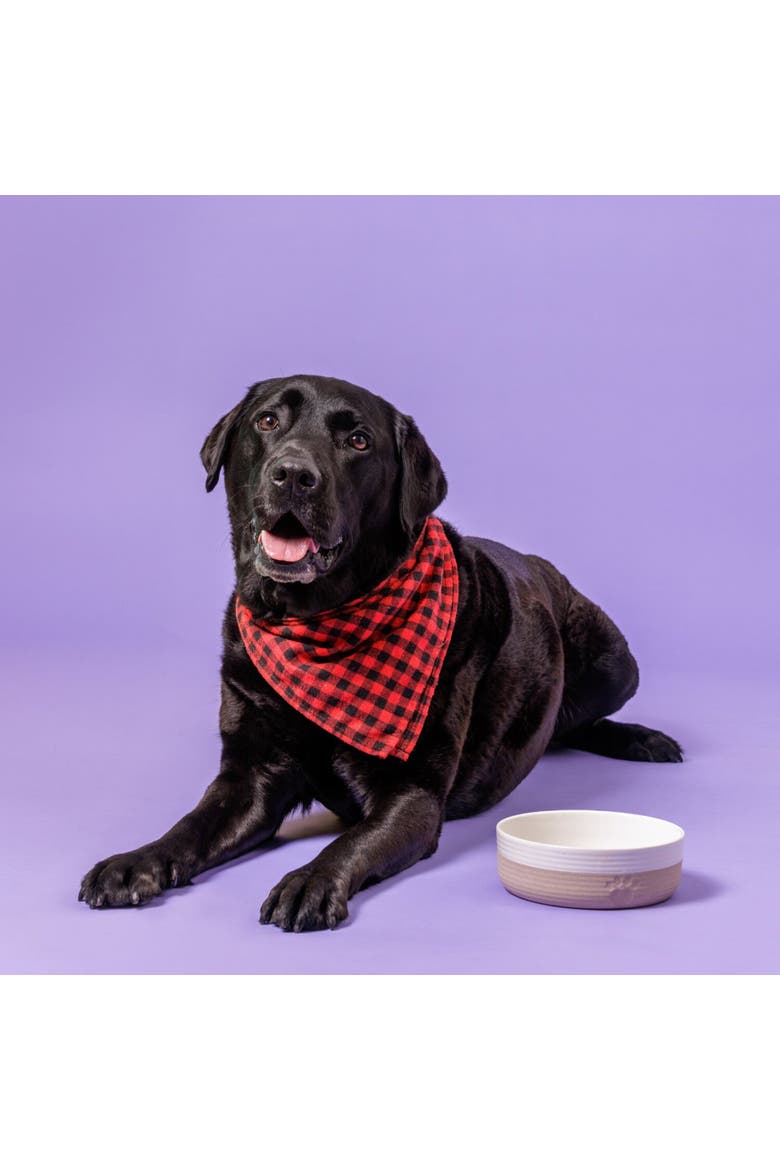 Heart Paw Pet Bowl, 7 Inch 32oz Cream & Tan, Alternate, color, Beige