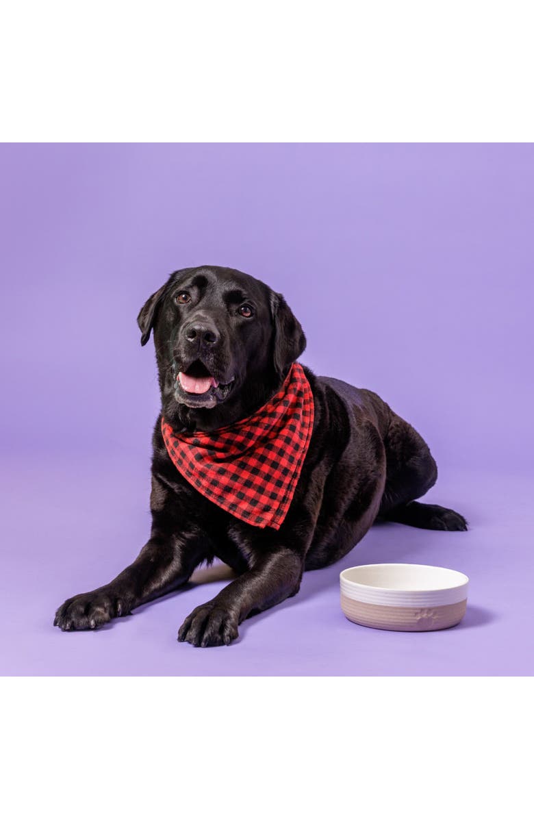 MASON CASH Heart Paw Pet Bowl, 7 Inch 32oz Cream & Tan, Alternate, color, Beige