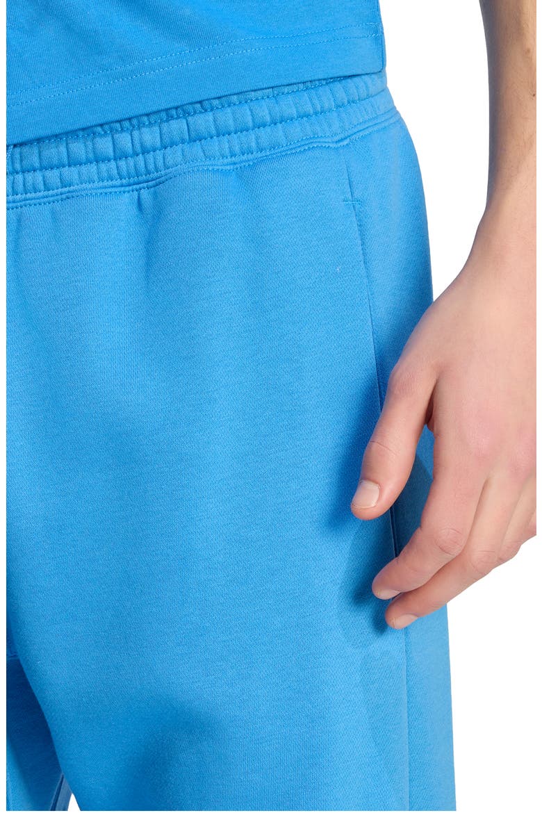 ALL SZN Fleece Regular Tapered Pants, Alternate, color, RAY BLUE