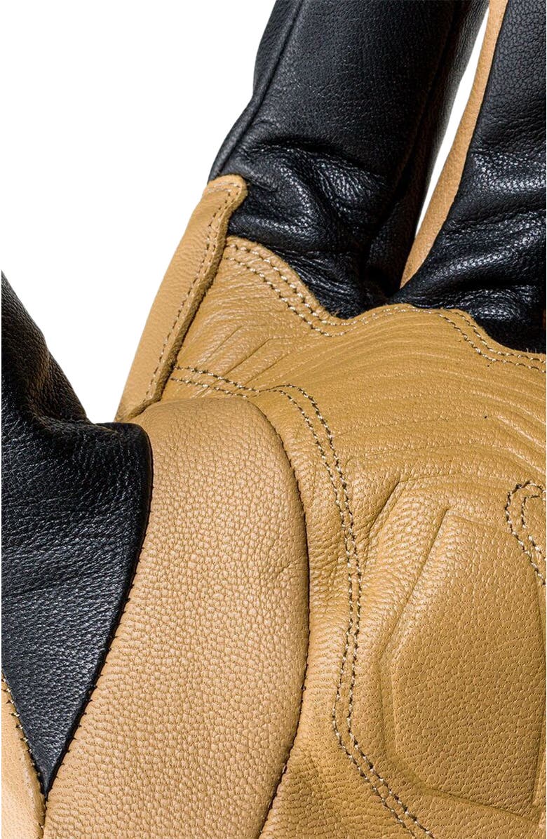 Backcountry GORE-TEX All-Mountain Glove, Alternate, color, Pika/Black