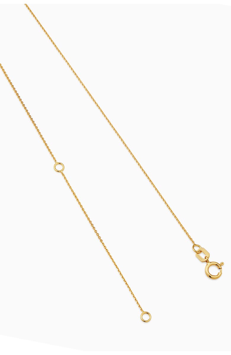 Oradina 14K Yellow Gold Greek Lion Medallion Necklace, Alternate, color, Yellow Gold