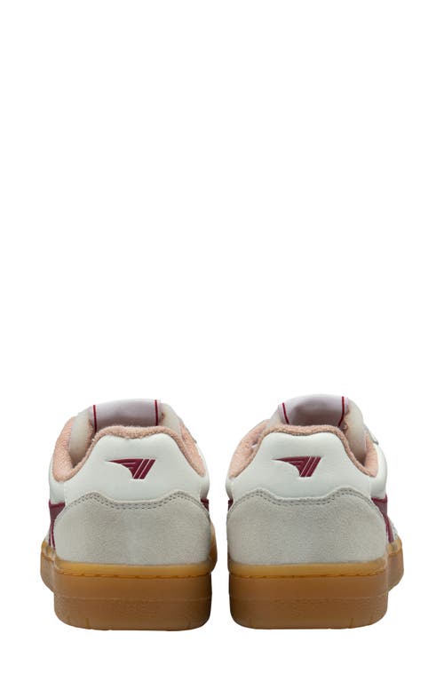 Gola Eagle 86 Sneaker In Multi