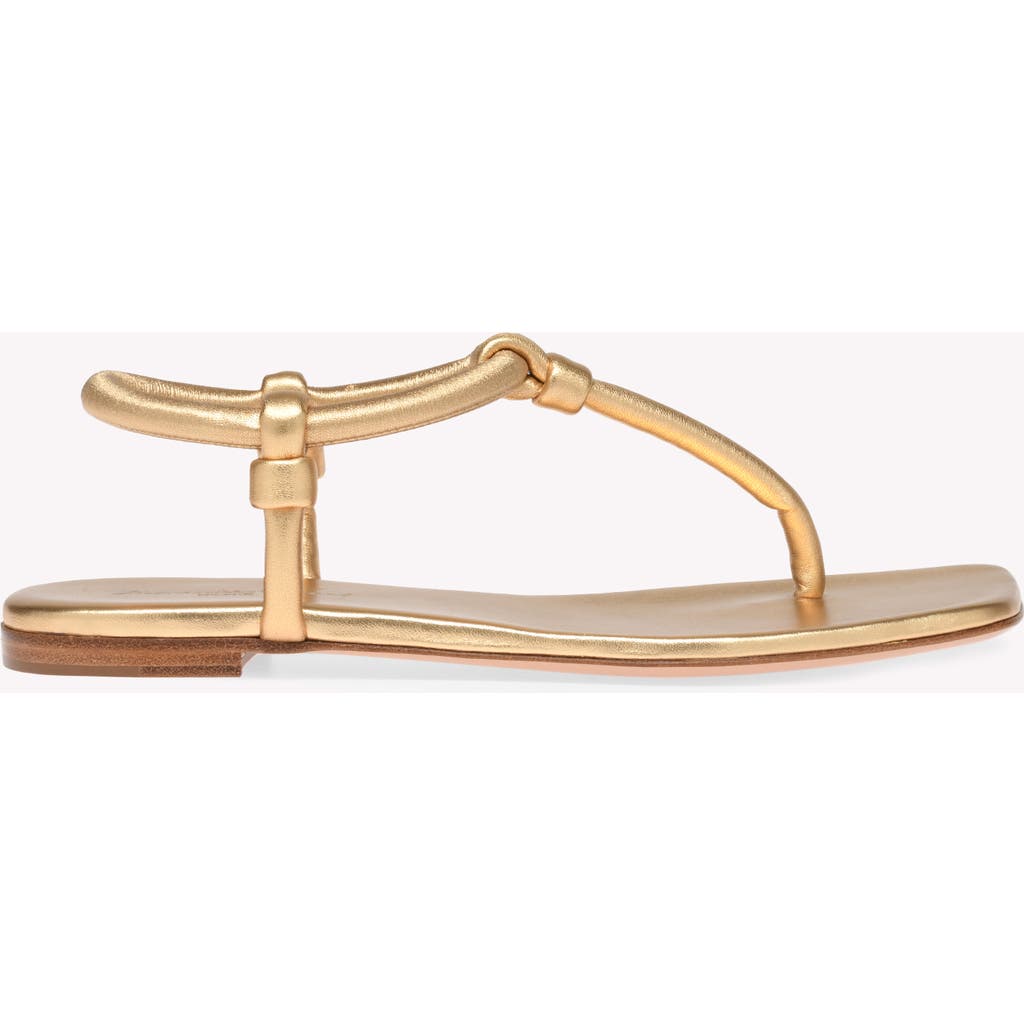 Gianvito Rossi Juno Thong Sandals In Gold