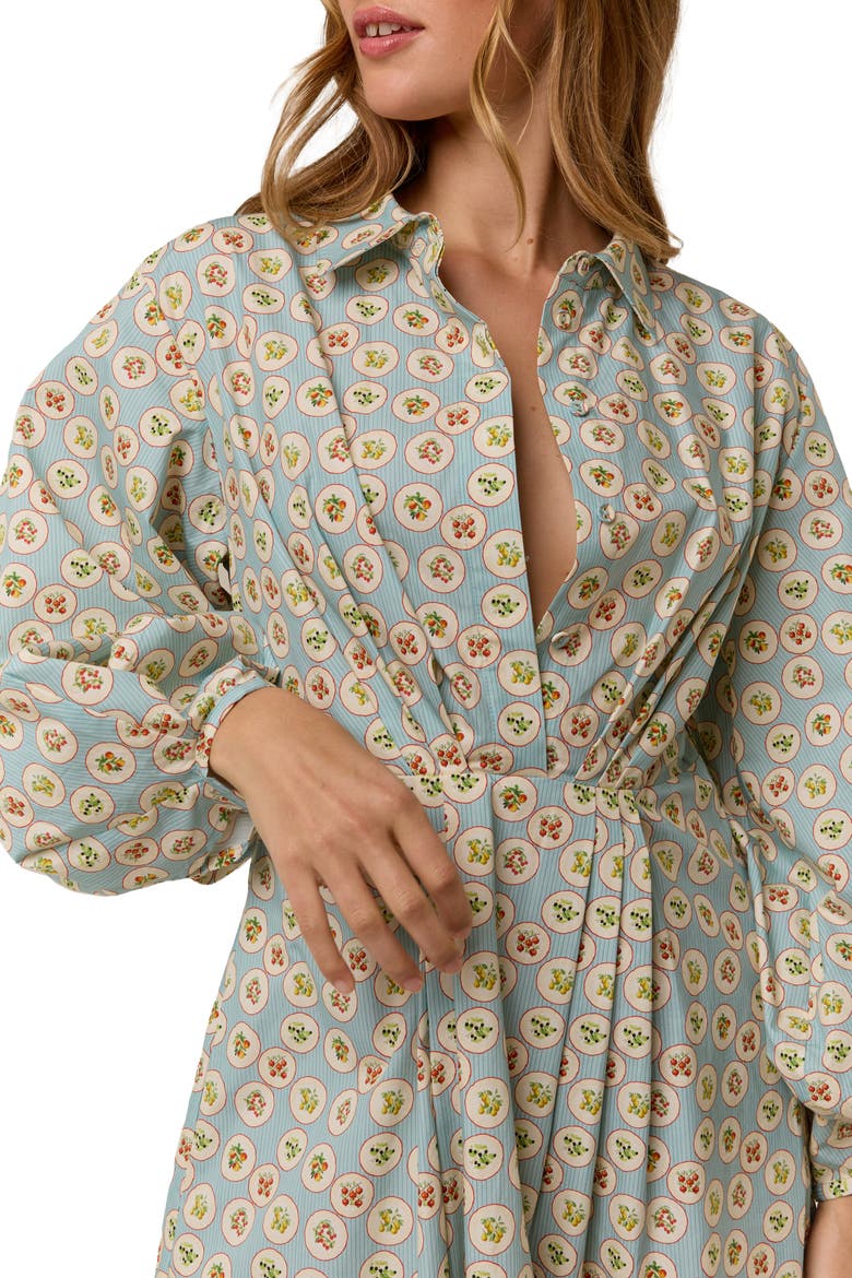 Emily Shirt Dress, Alternate, color, Tarda
