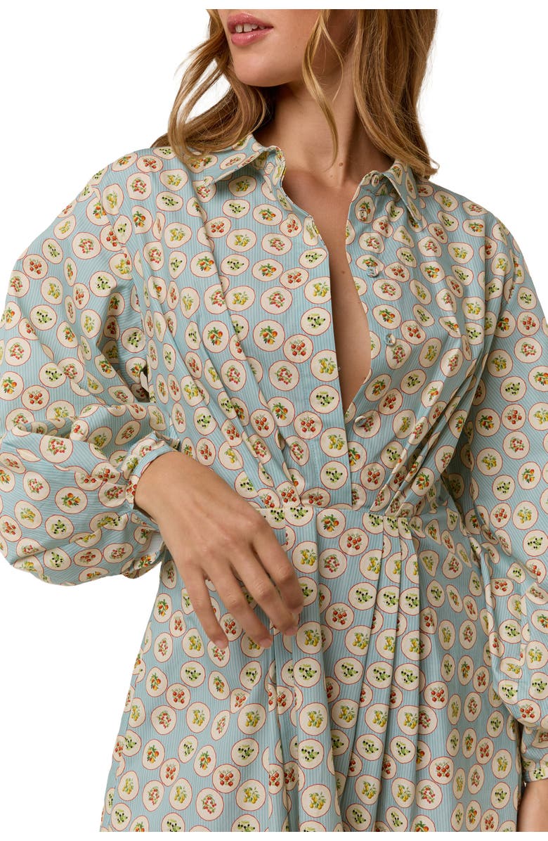 Palm Noosa Emily Shirt Dress, Alternate, color, Tarda