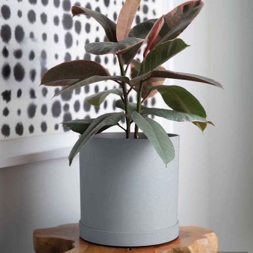 Bloem 12 Inch Mathers Round Planter With Saucer Tray In Gray