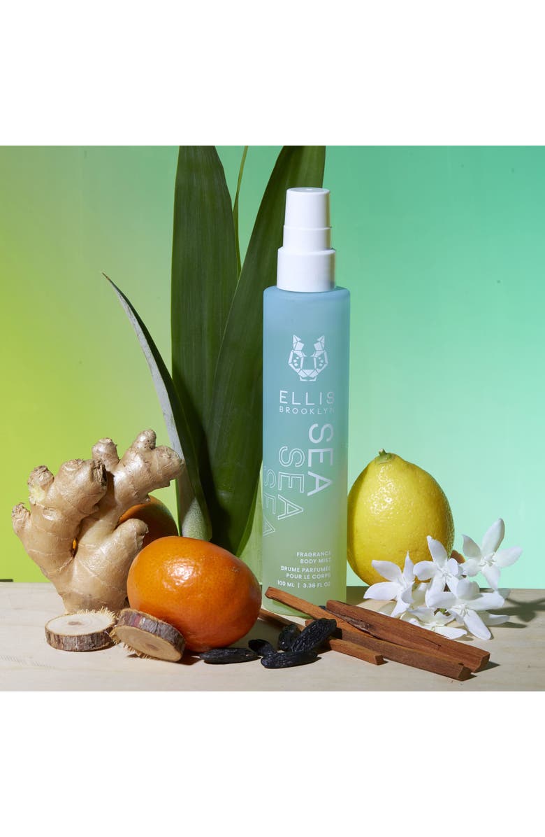 Ellis Brooklyn SEA Hair & Body Fragrance Mist, Alternate, color, 