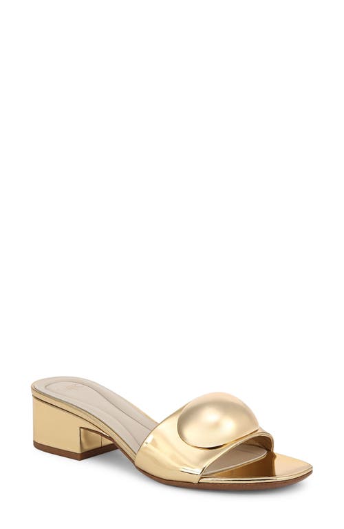 SARTO BY FRANCO SARTO SARTO BY FRANCO SARTO NIKA SLIDE SANDAL