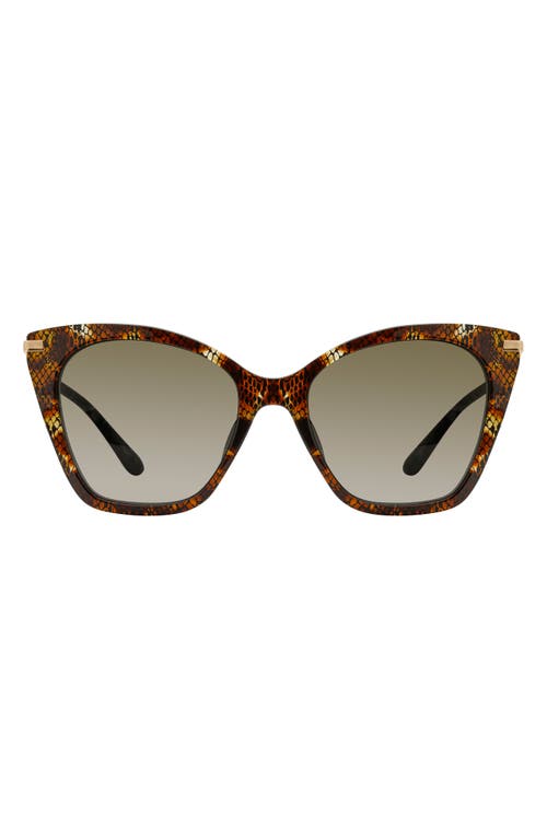 Stuart Weitzman 56mm Gradient Cat Eye Sunglasses